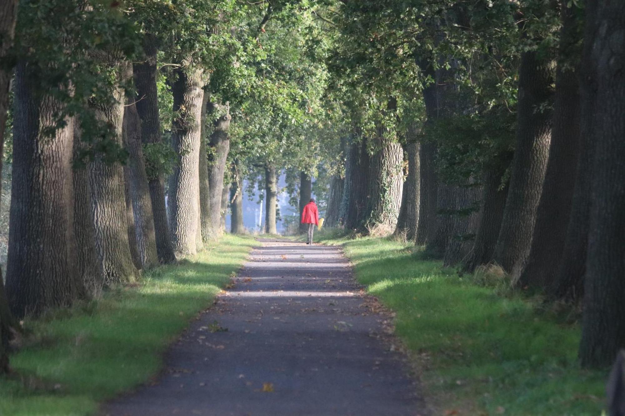 Huyze Vinteling Bed and Breakfast Ieper Buitenkant foto